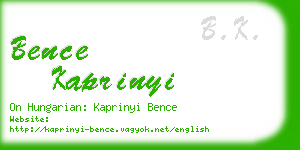 bence kaprinyi business card